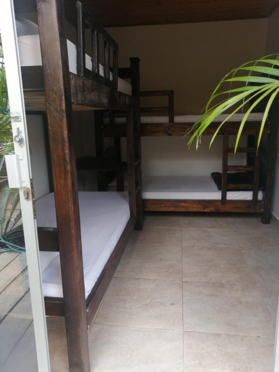 Hostal Hilltop סאפזורו מראה חיצוני תמונה